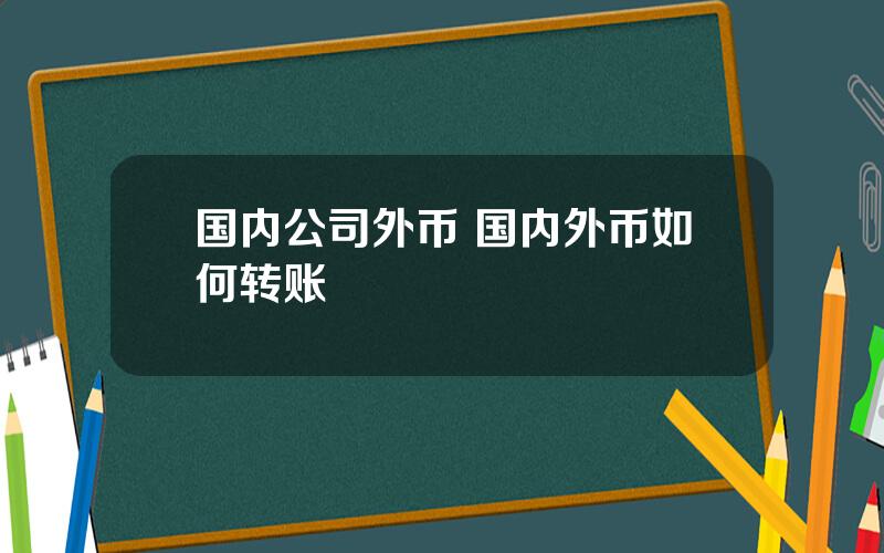 国内公司外币 国内外币如何转账